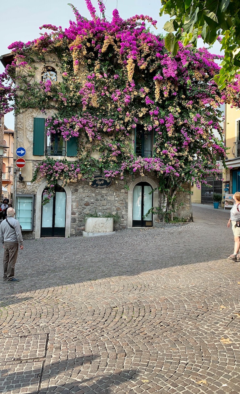 Bild ohne Beschreibung Bild ohne Beschreibung