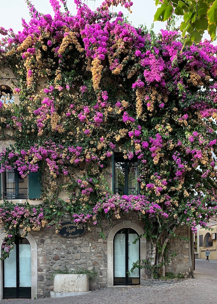 Bild ohne Beschreibung Bild ohne Beschreibung