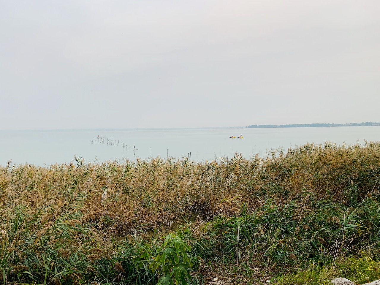 Bild ohne Beschreibung Bild ohne Beschreibung