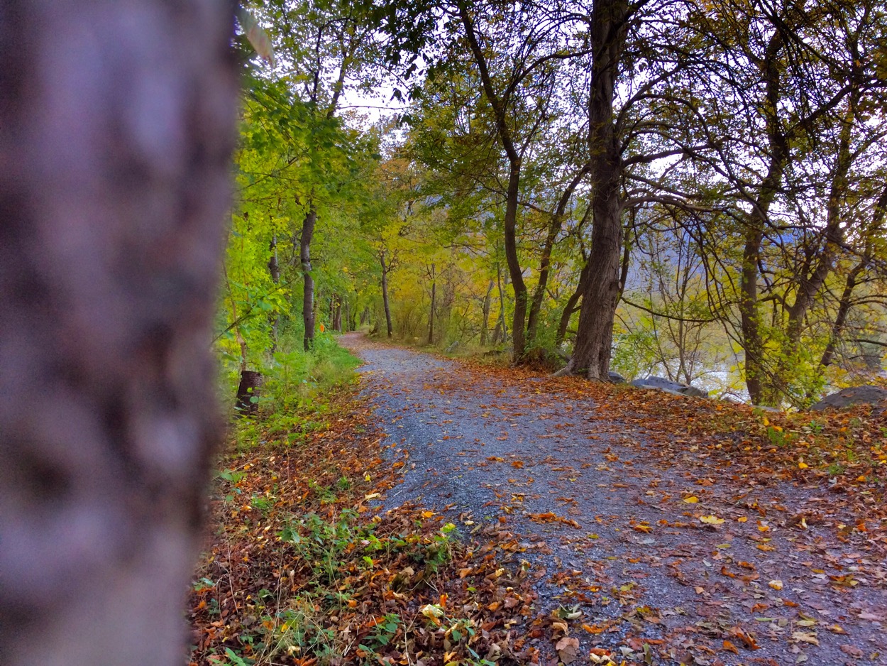 Bild ohne Beschreibung