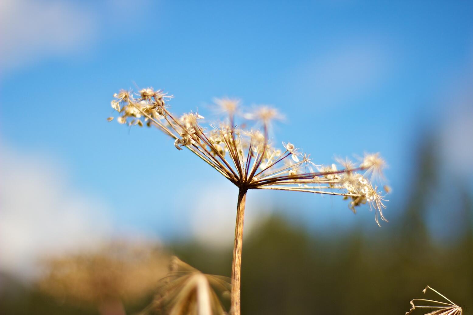 Bild ohne Beschreibung