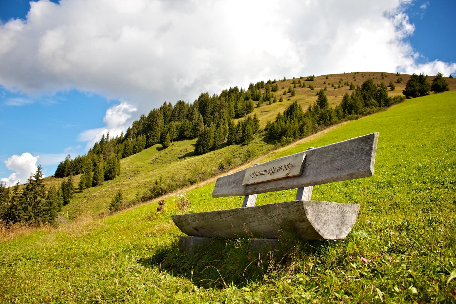 Bild ohne Beschreibung