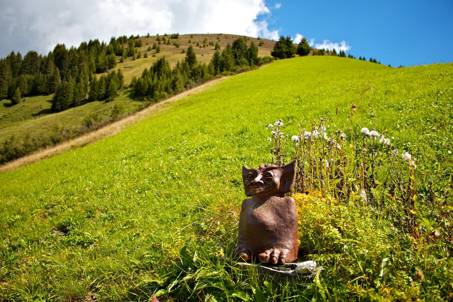 Bild ohne Beschreibung
