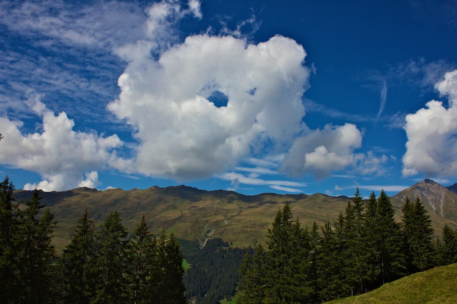 Bild ohne Beschreibung