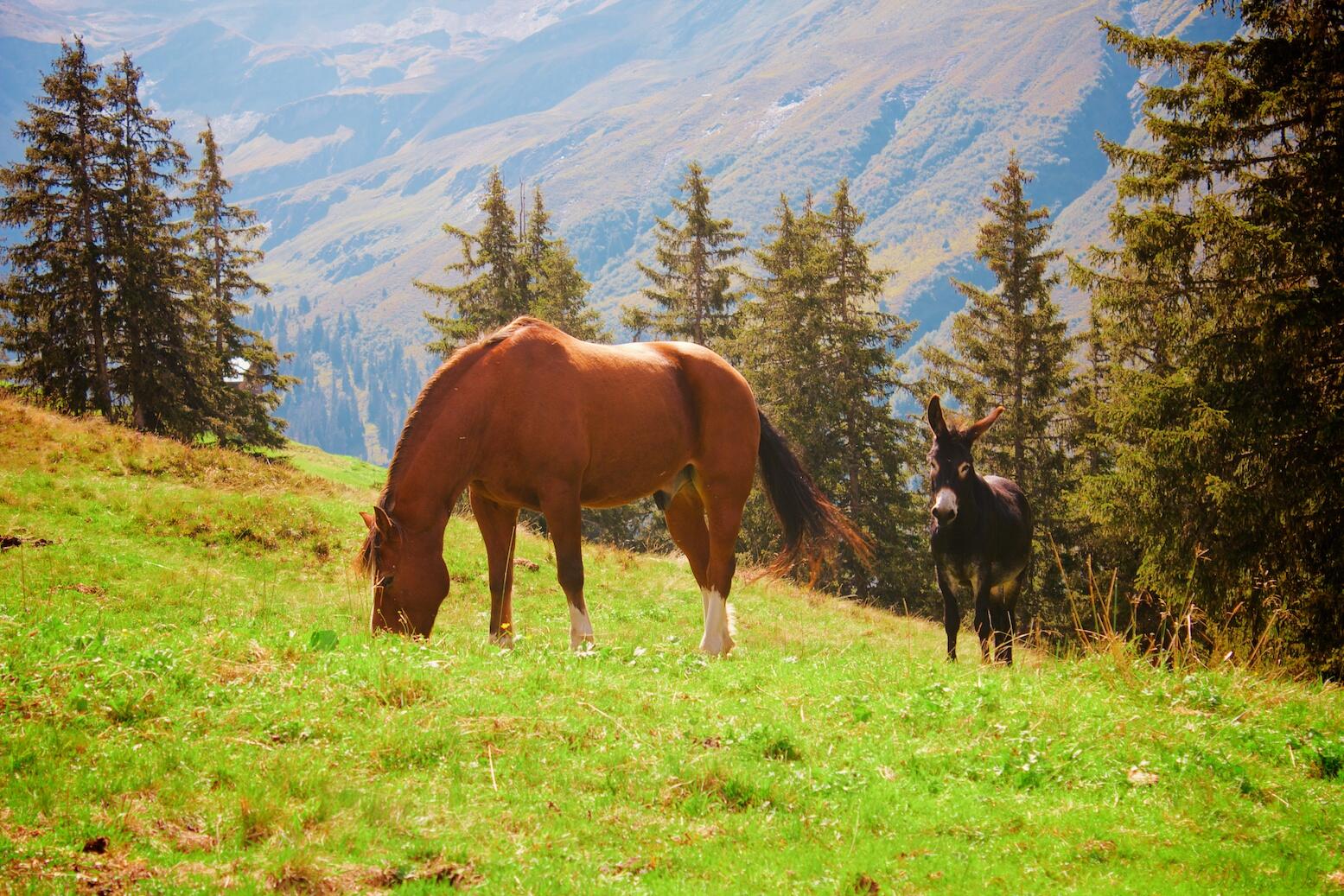 Bild ohne Beschreibung