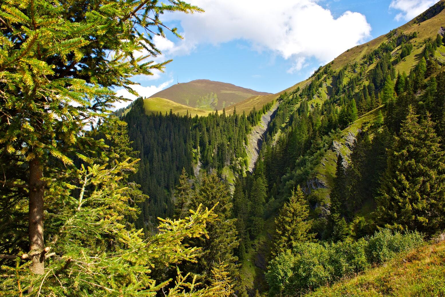 Bild ohne Beschreibung