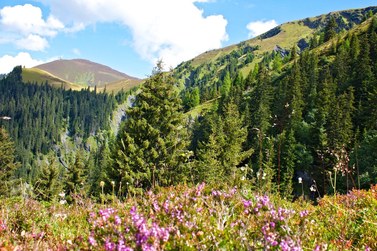 Bild ohne Beschreibung