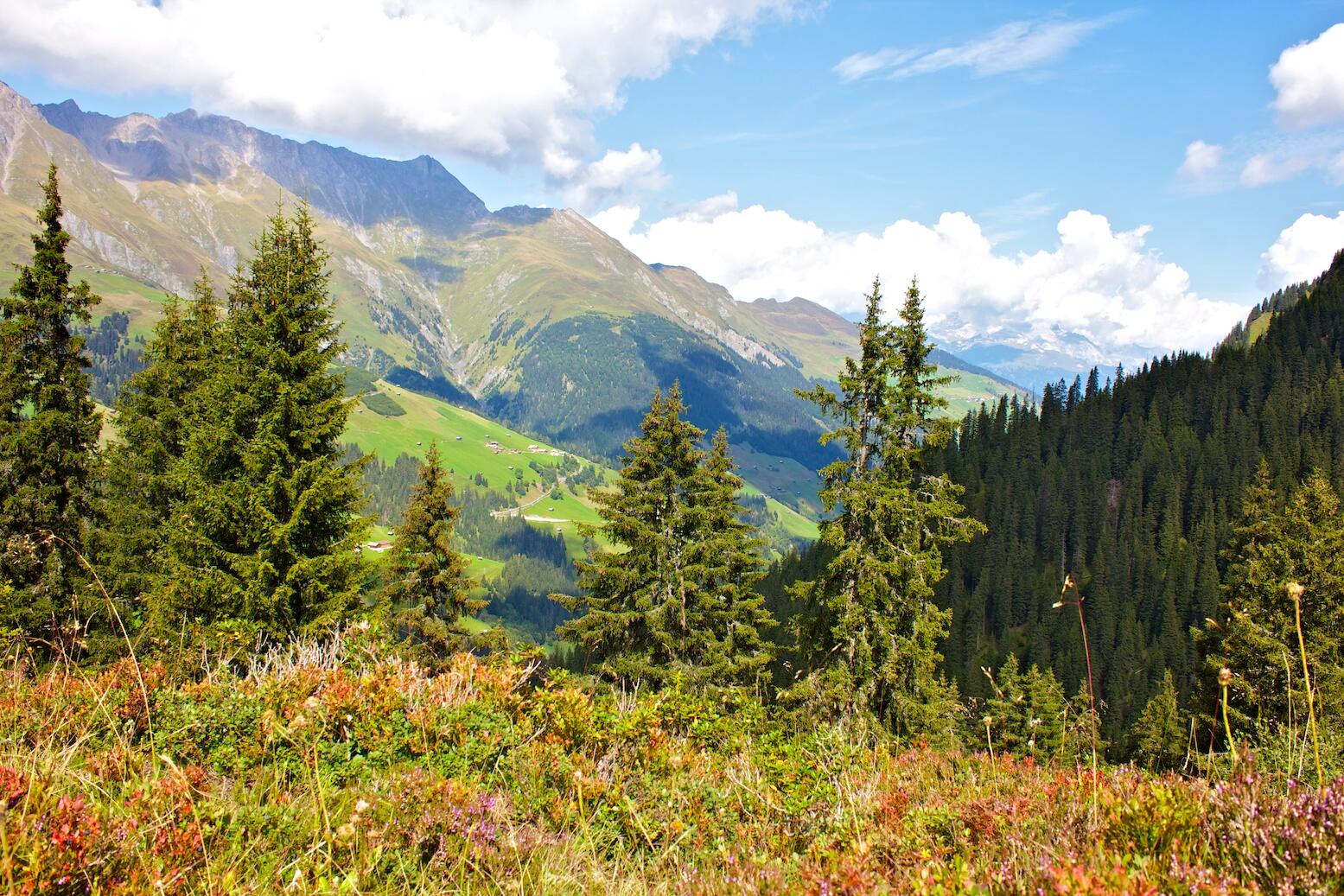 Bild ohne Beschreibung