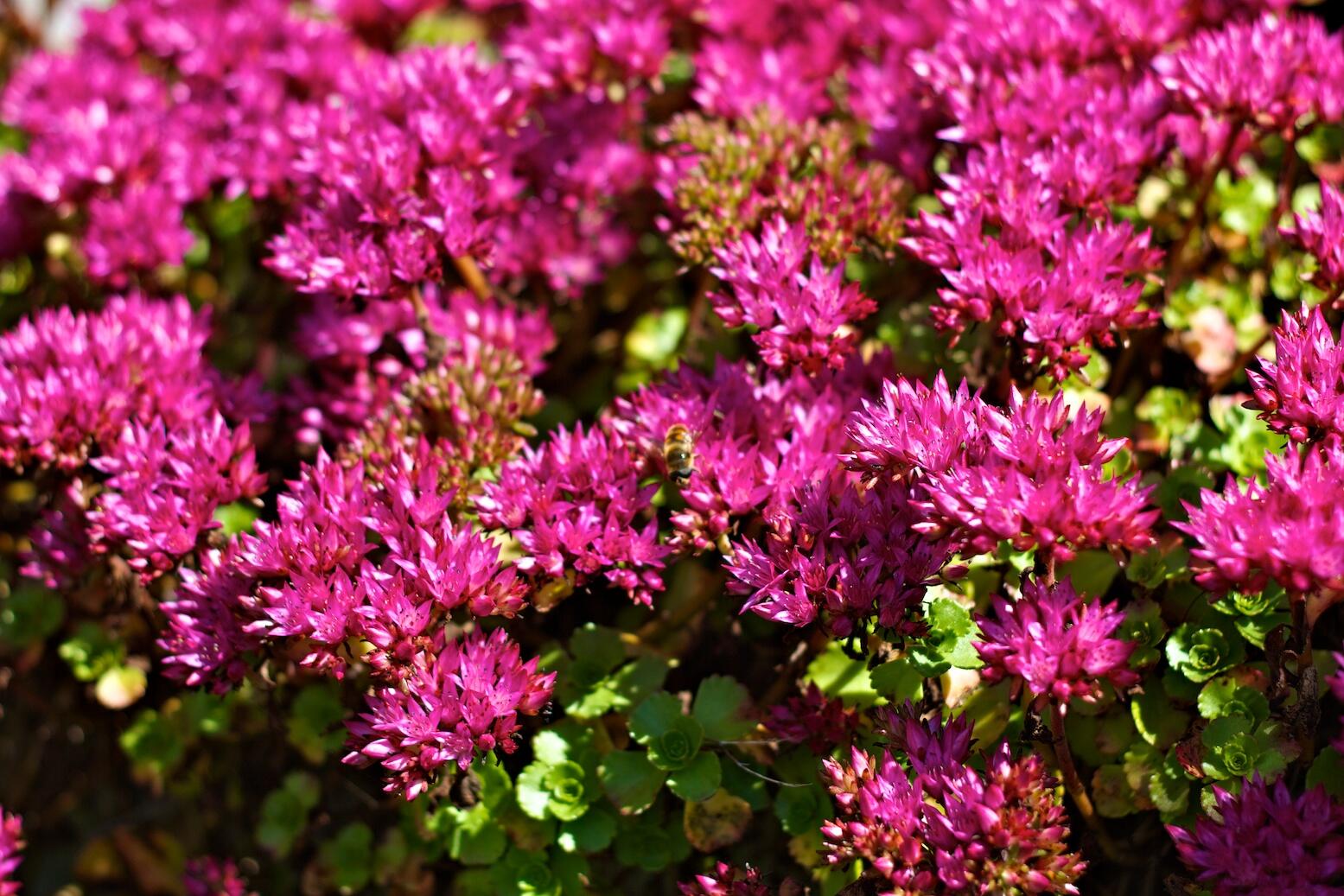 Bild ohne Beschreibung