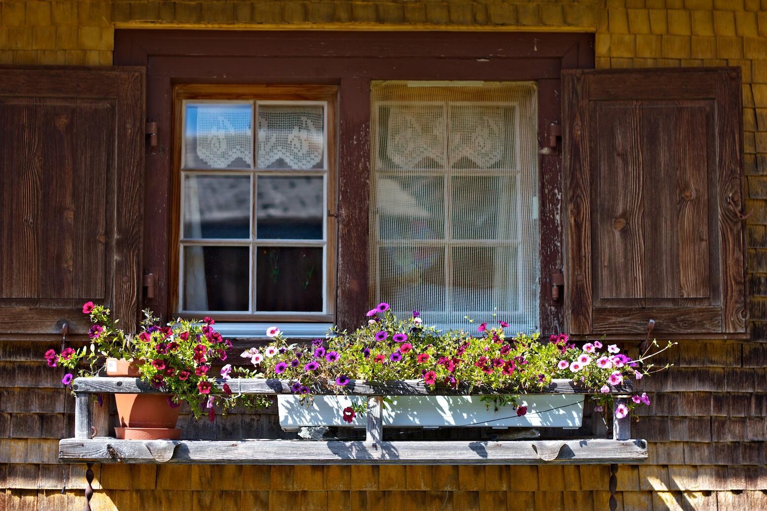 Bild ohne Beschreibung