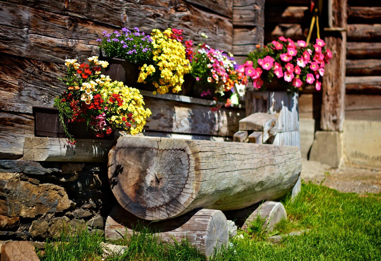 Bild ohne Beschreibung