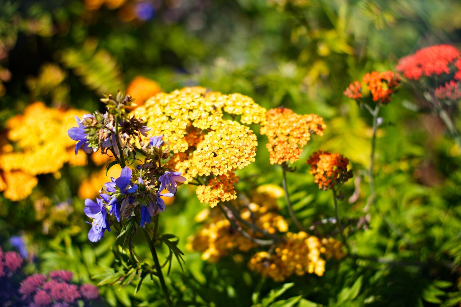 Bild ohne Beschreibung