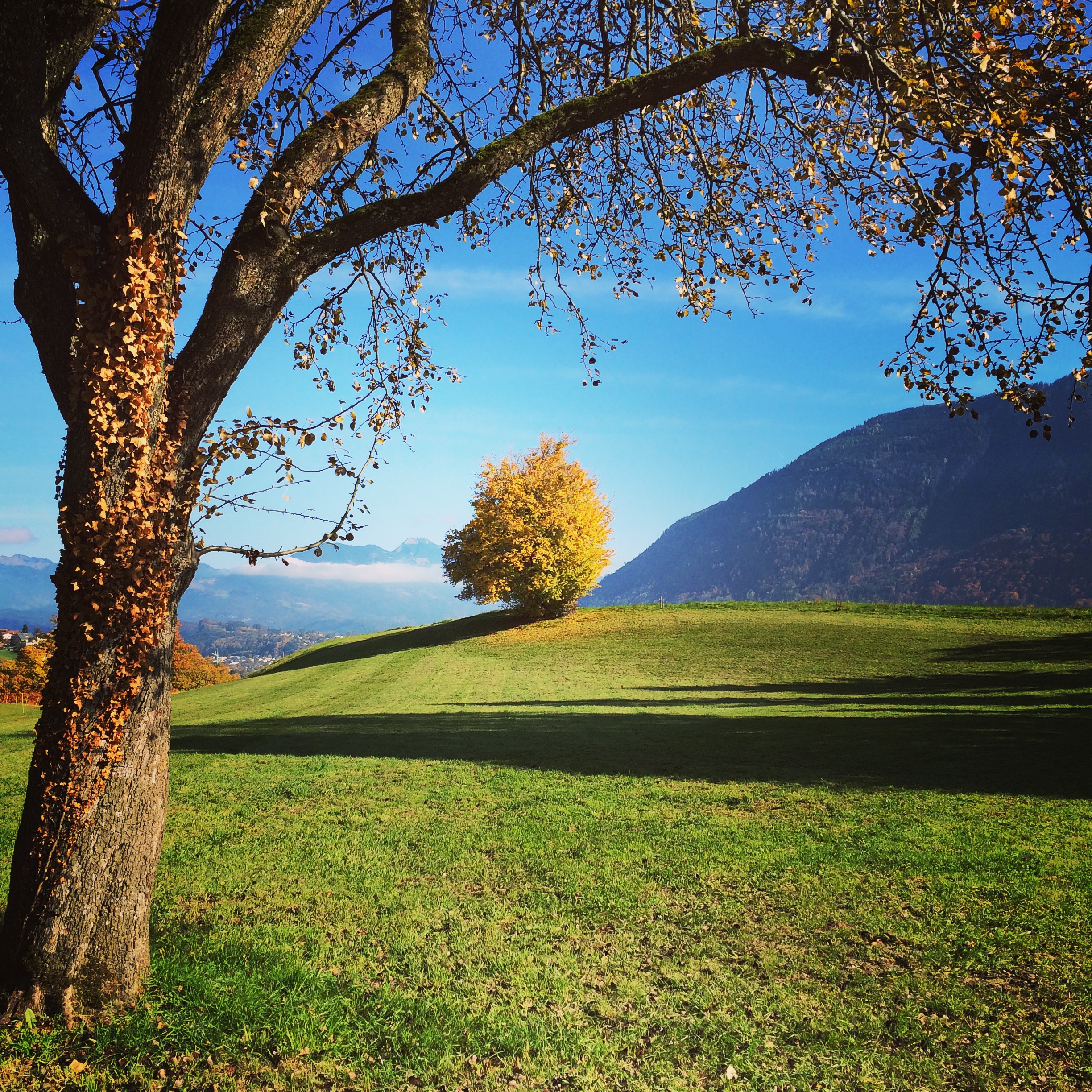 IMG_3985 - 2015-10-30 um 14-24-20 IMG_3985 - 2015-10-30 um 14-24-20