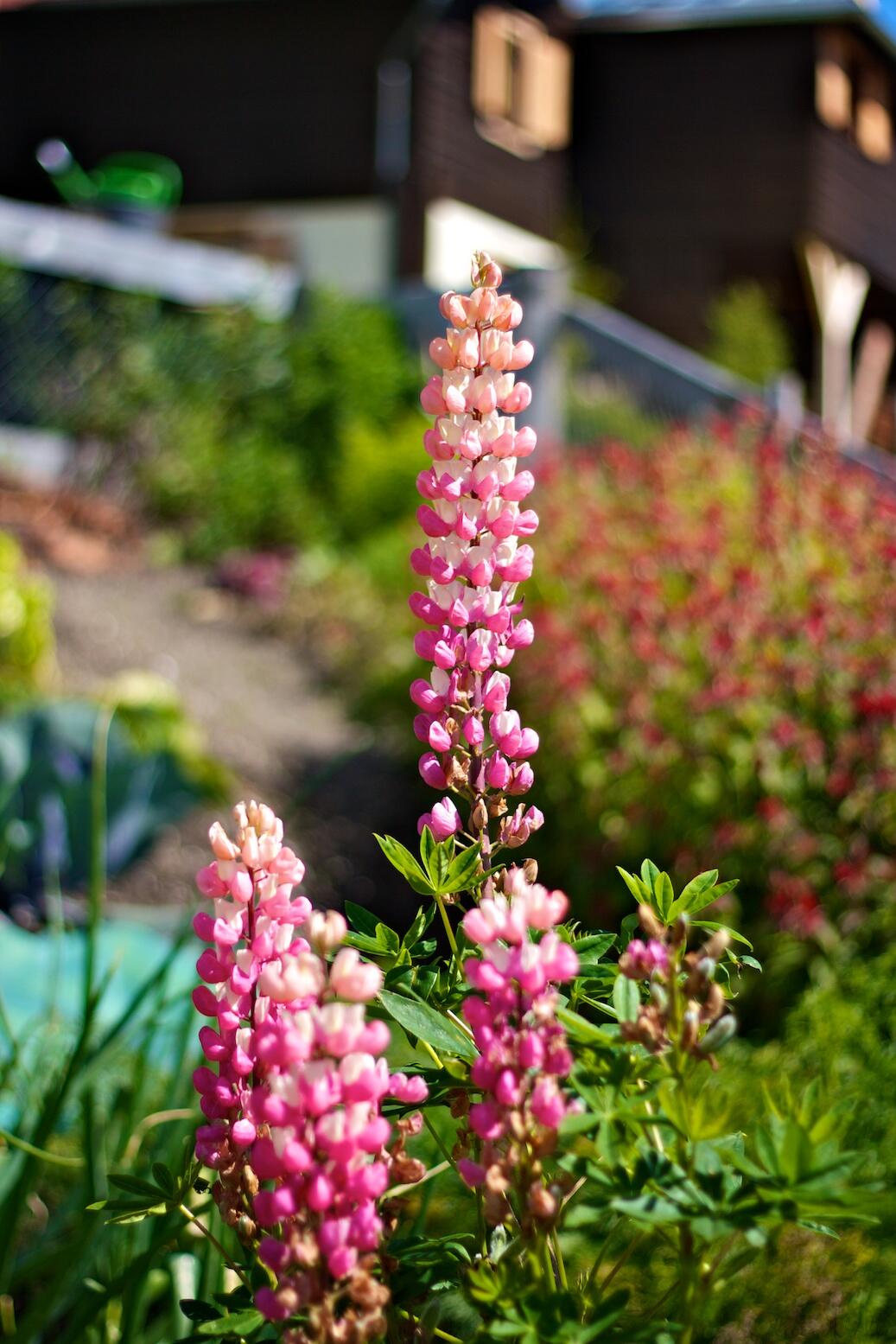 Bild ohne Beschreibung