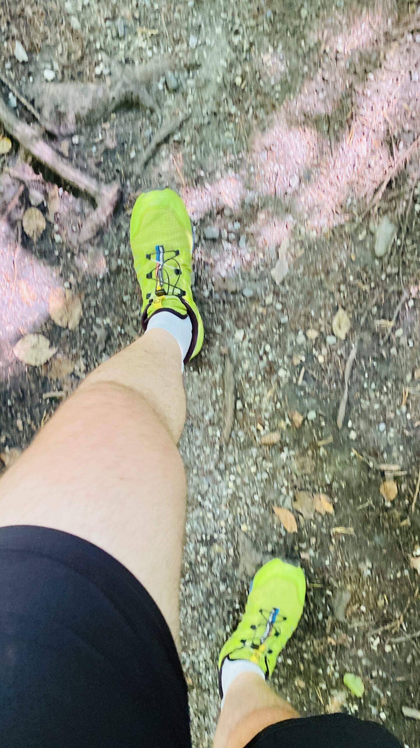 Bild ohne Beschreibung