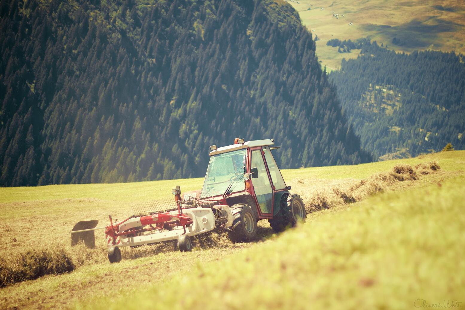 Bild ohne Beschreibung