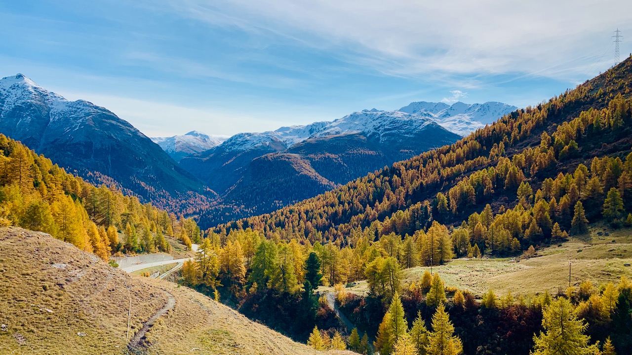 Bild ohne Beschreibung