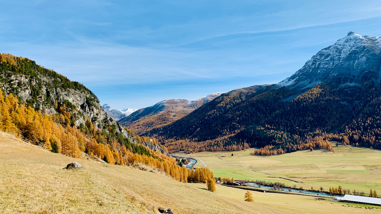 Bild ohne Beschreibung