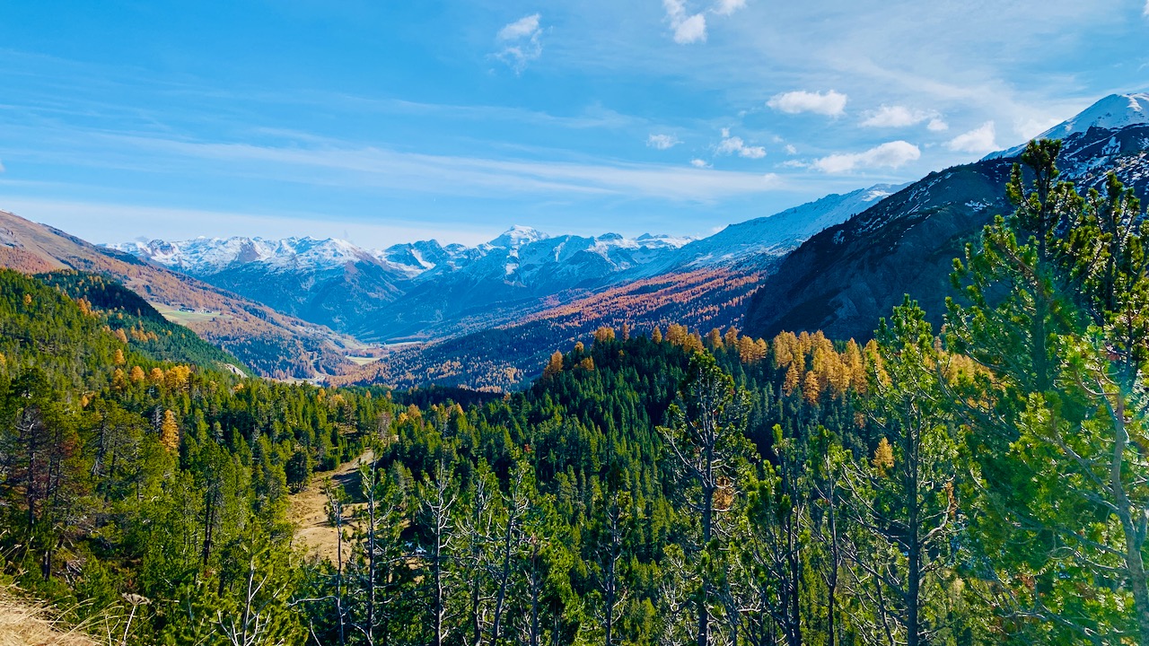 Bild ohne Beschreibung