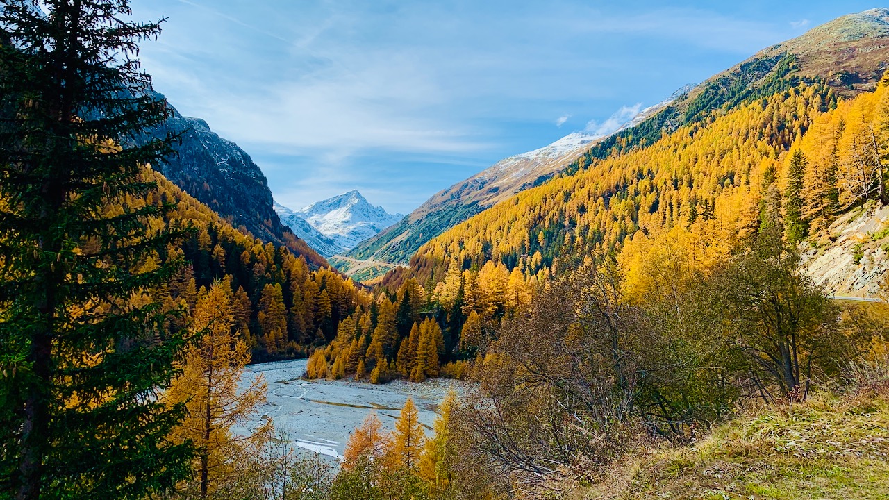 Bild ohne Beschreibung