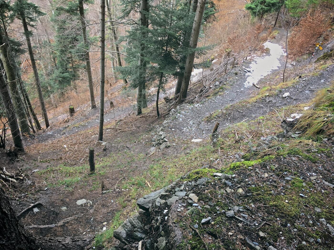 Bild ohne Beschreibung