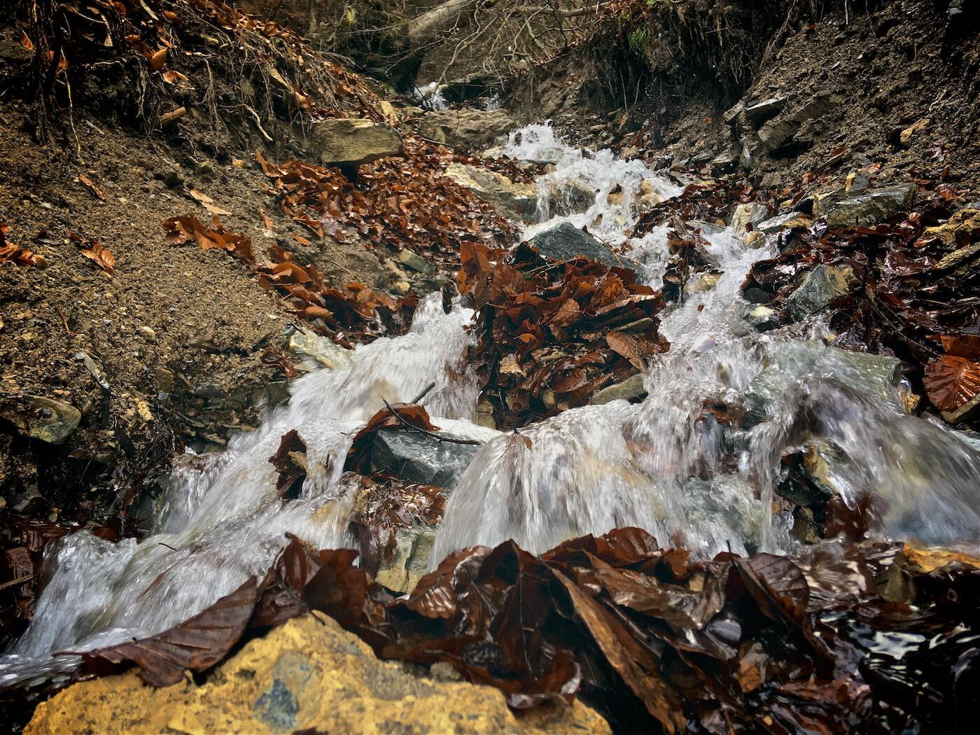 Bild ohne Beschreibung