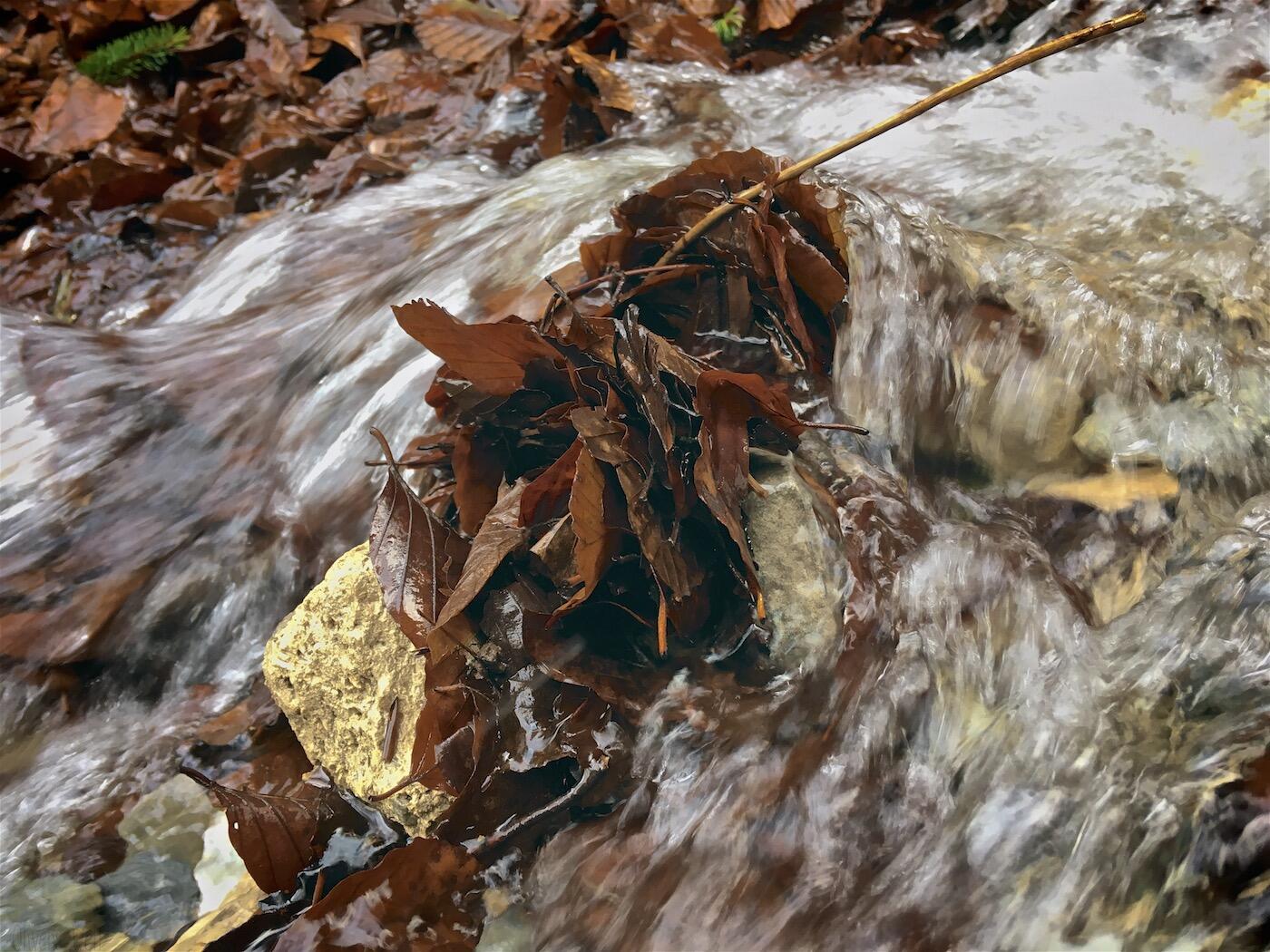 Bild ohne Beschreibung