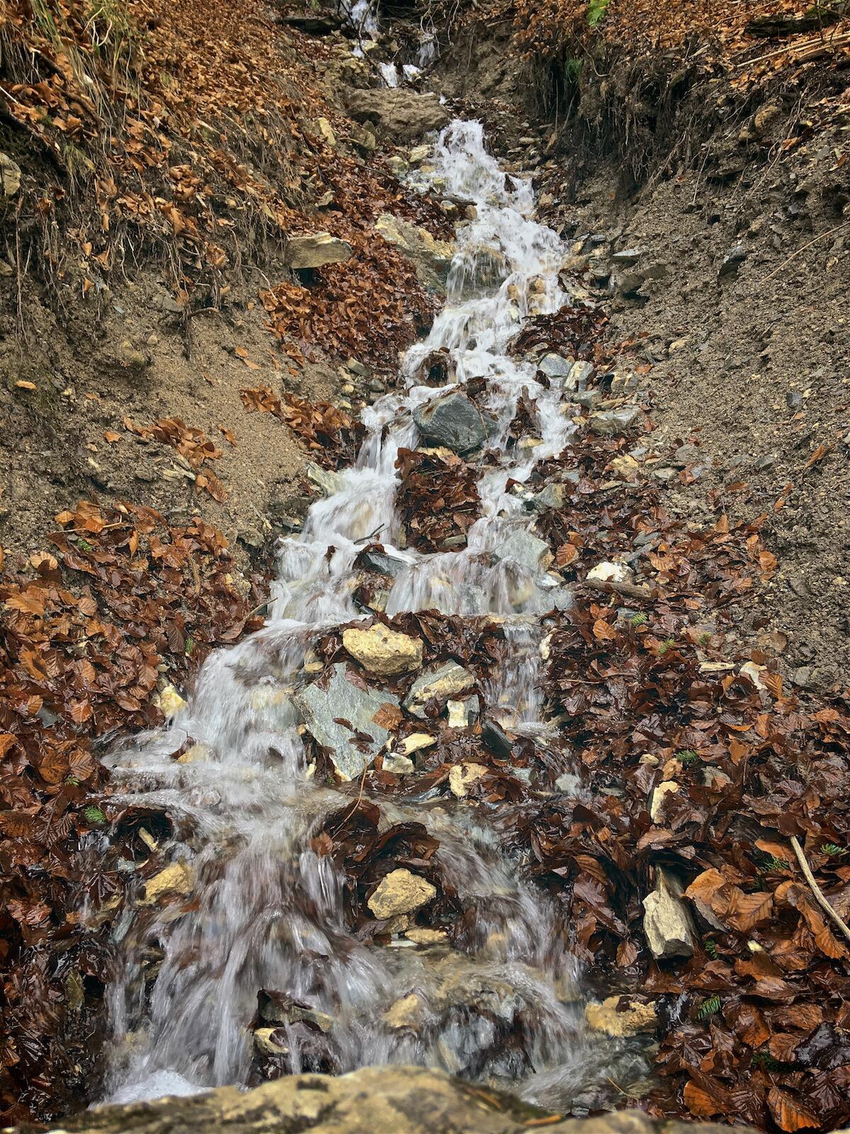 Bild ohne Beschreibung