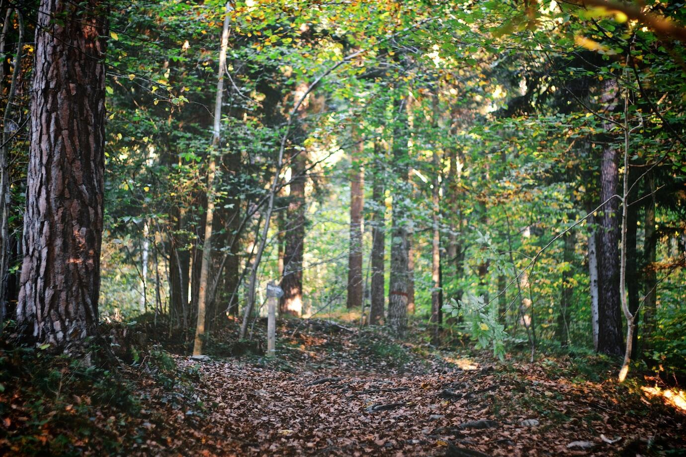 Bild ohne Beschreibung