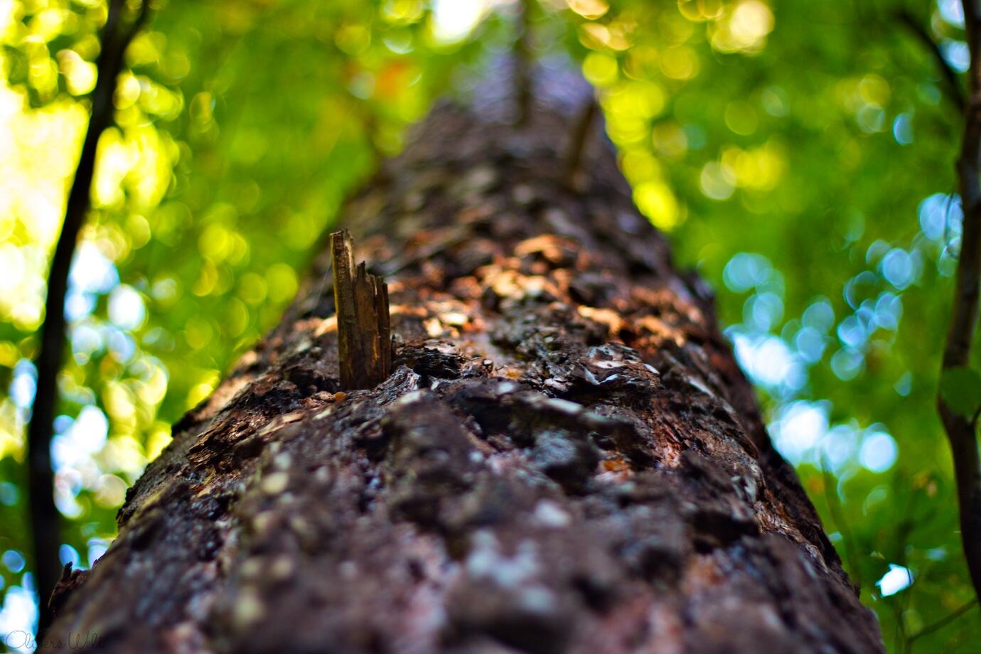 Bild ohne Beschreibung