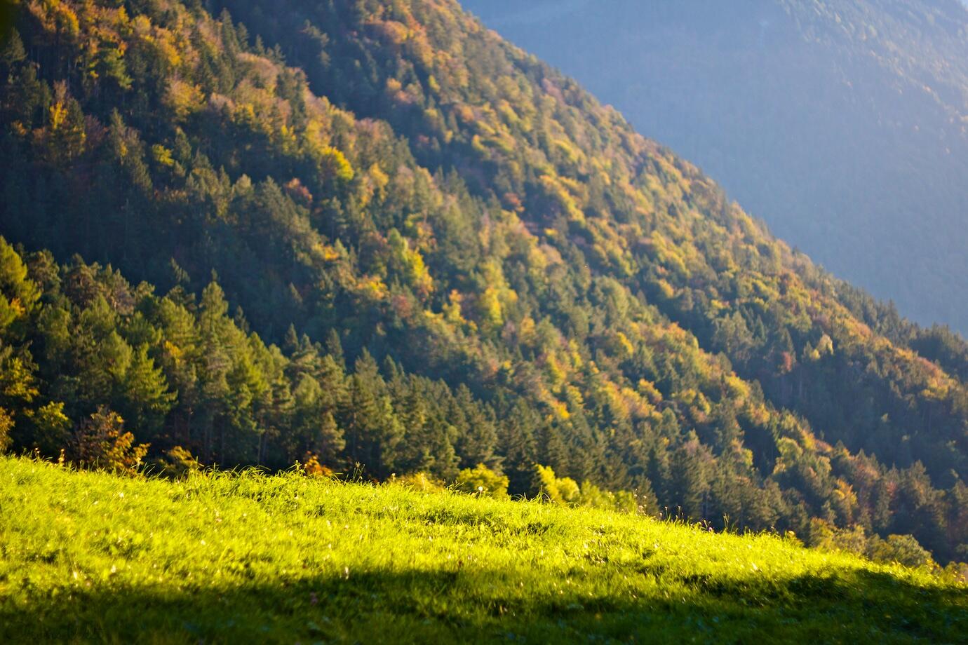 Bild ohne Beschreibung