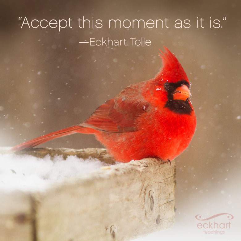 Bild ohne Beschreibung