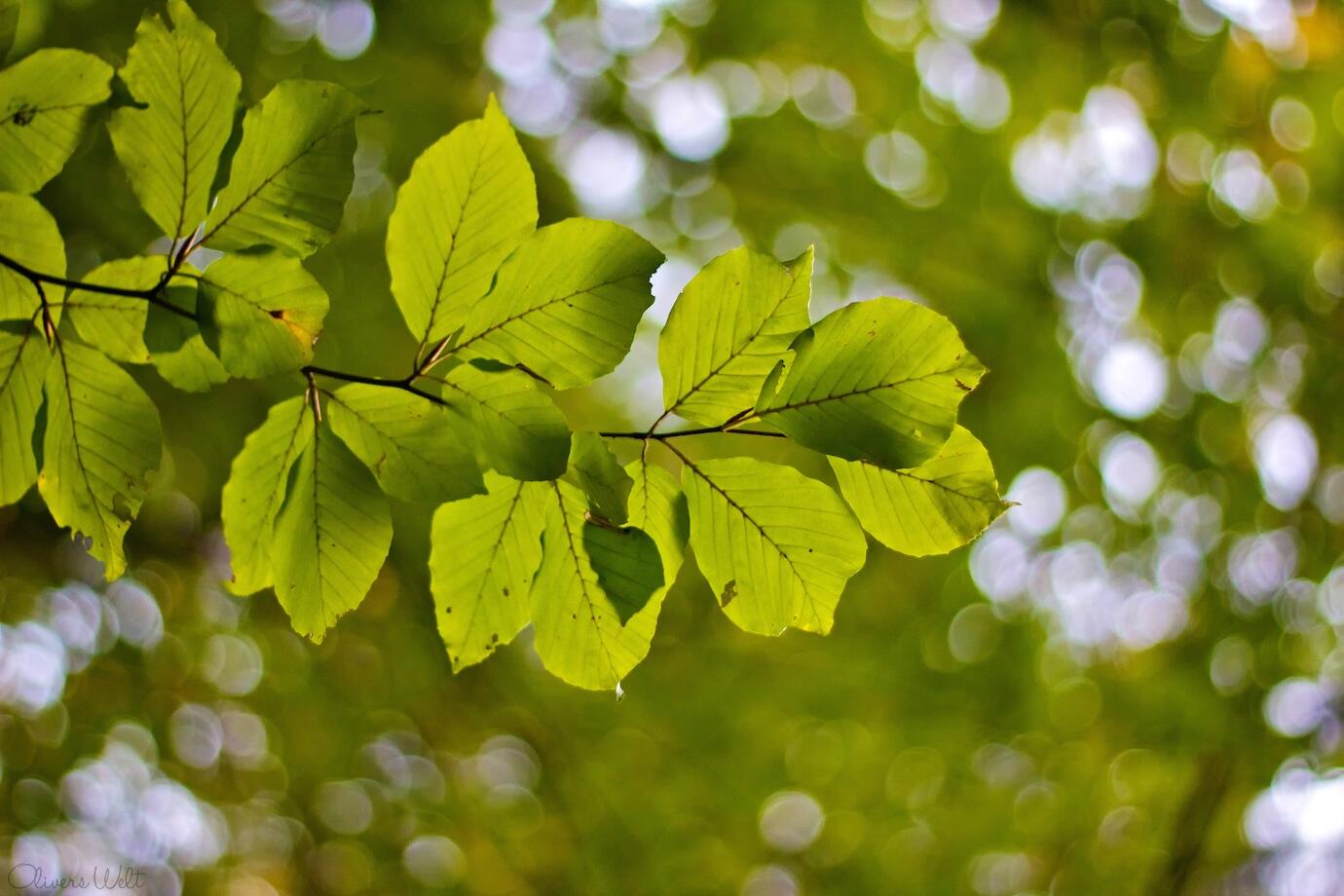 Bild ohne Beschreibung Bild ohne Beschreibung