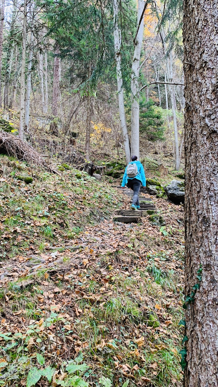 Bild ohne Beschreibung