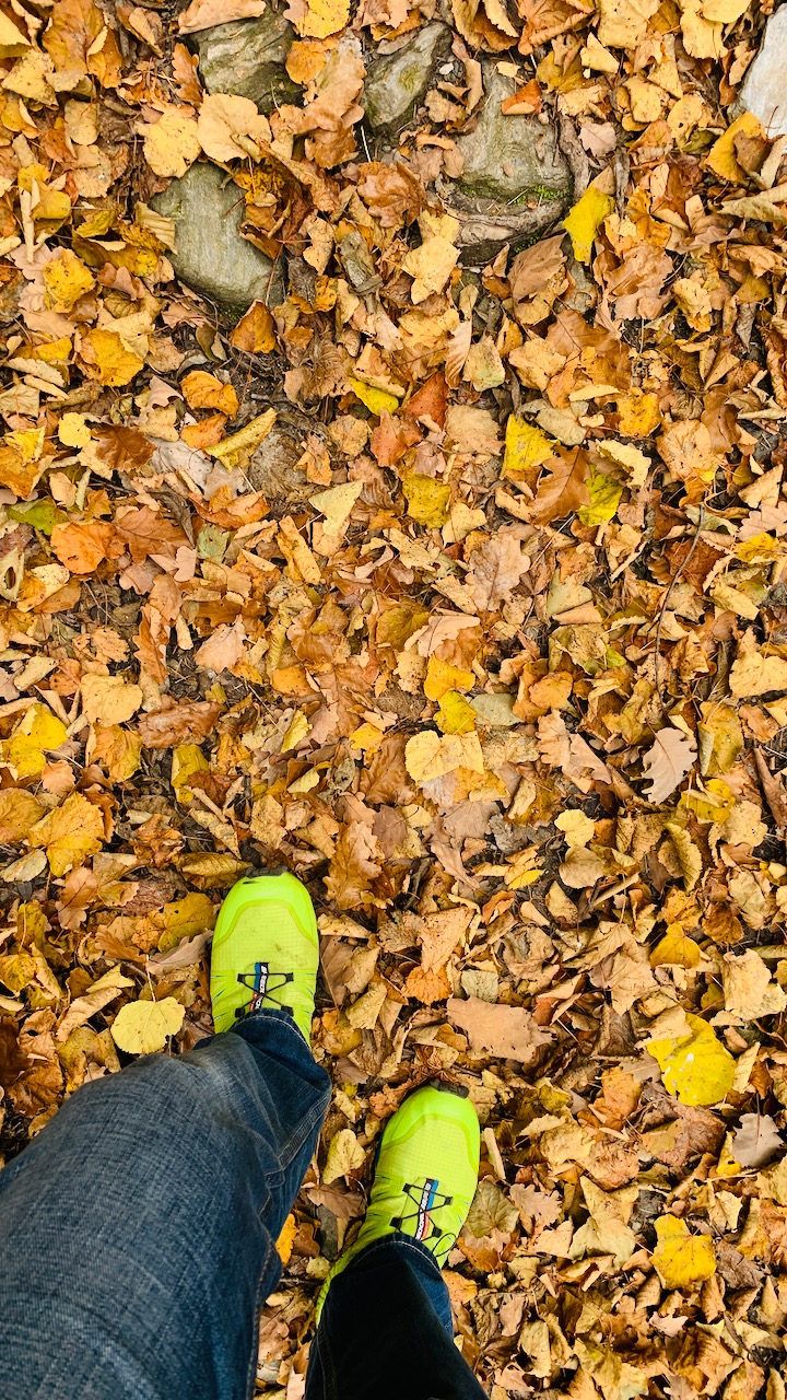 Bild ohne Beschreibung