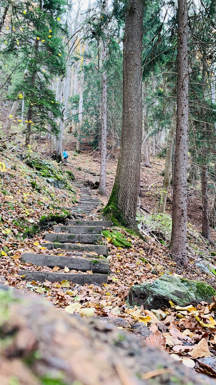 Bild ohne Beschreibung