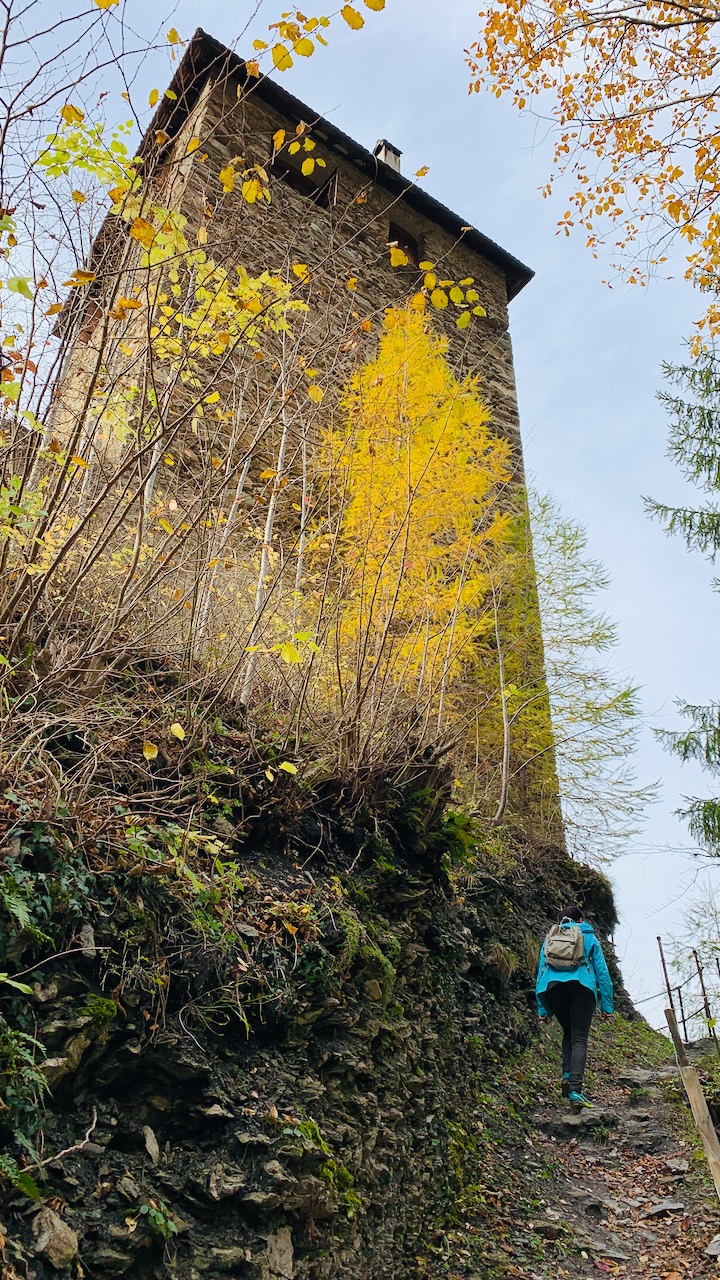 Bild ohne Beschreibung