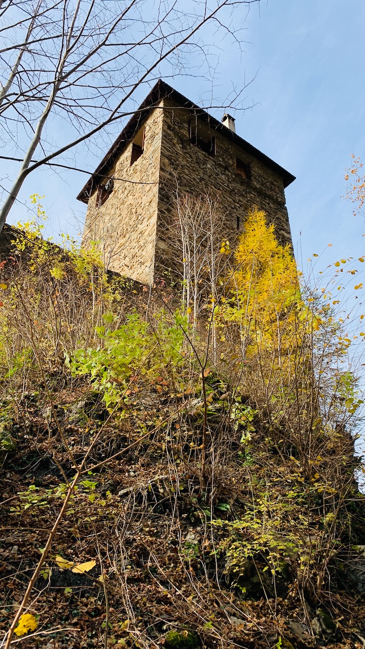 Bild ohne Beschreibung