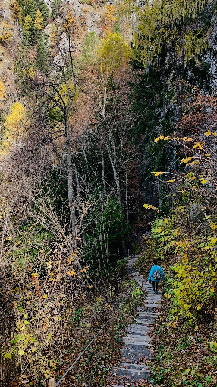 Bild ohne Beschreibung