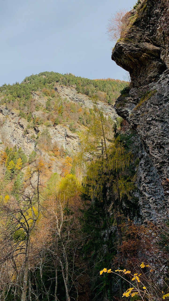 Bild ohne Beschreibung