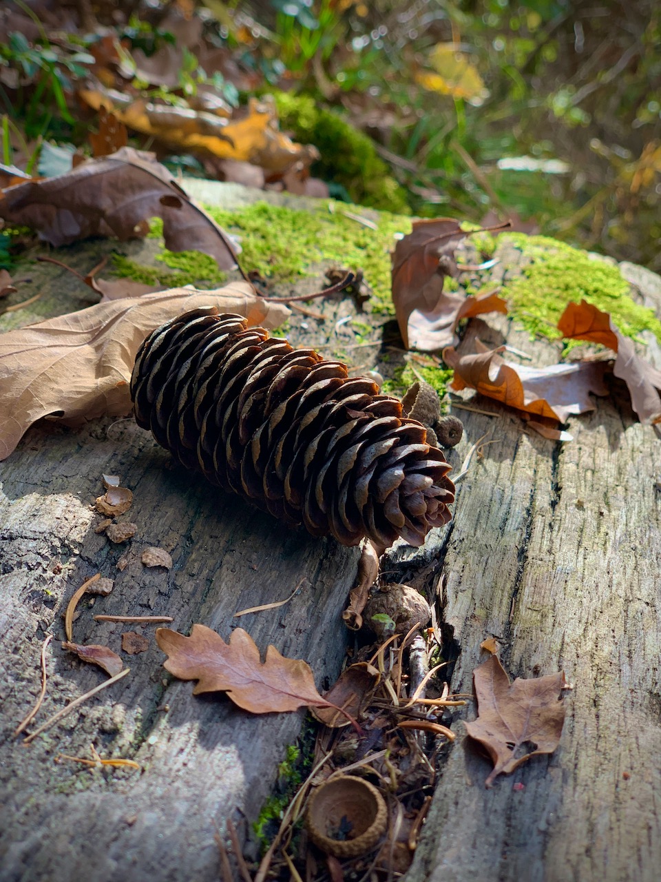 Bild ohne Beschreibung