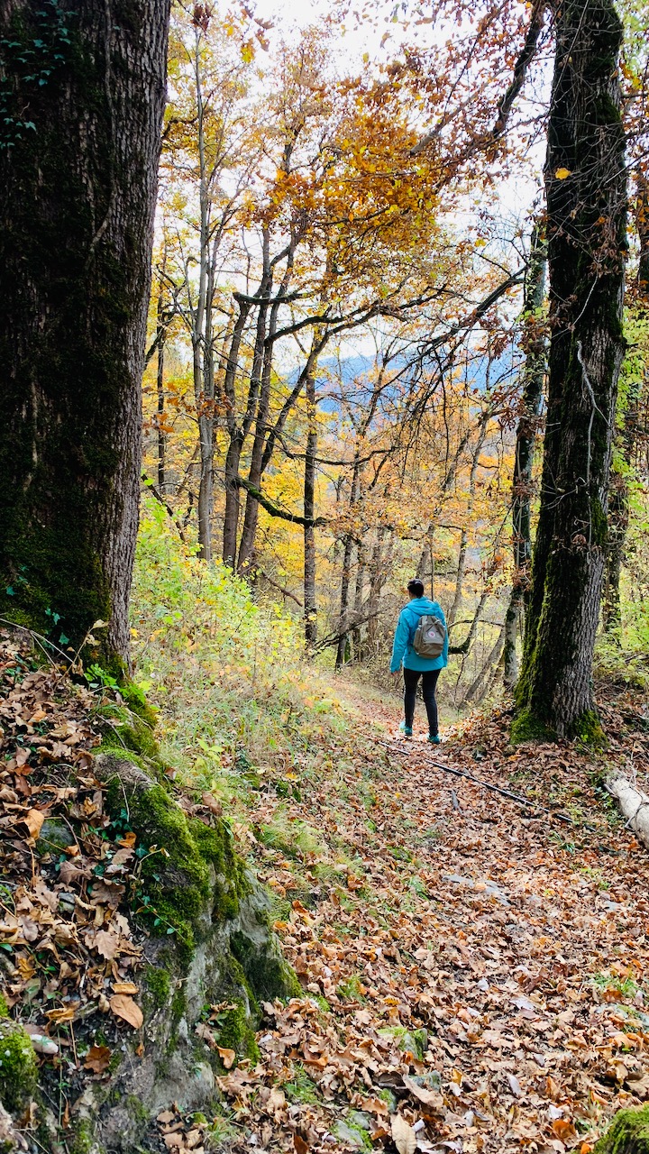Bild ohne Beschreibung