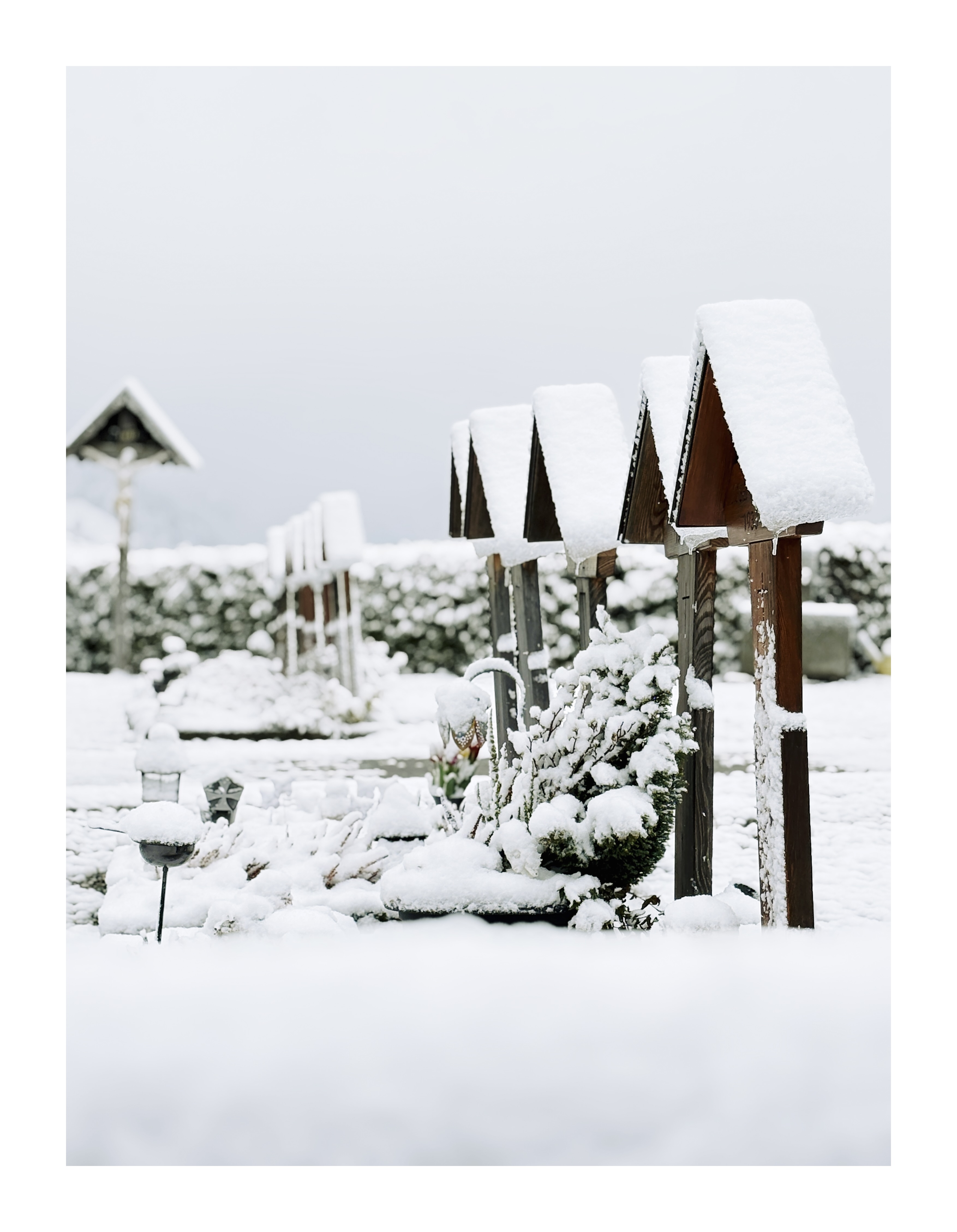 Bild ohne Beschreibung