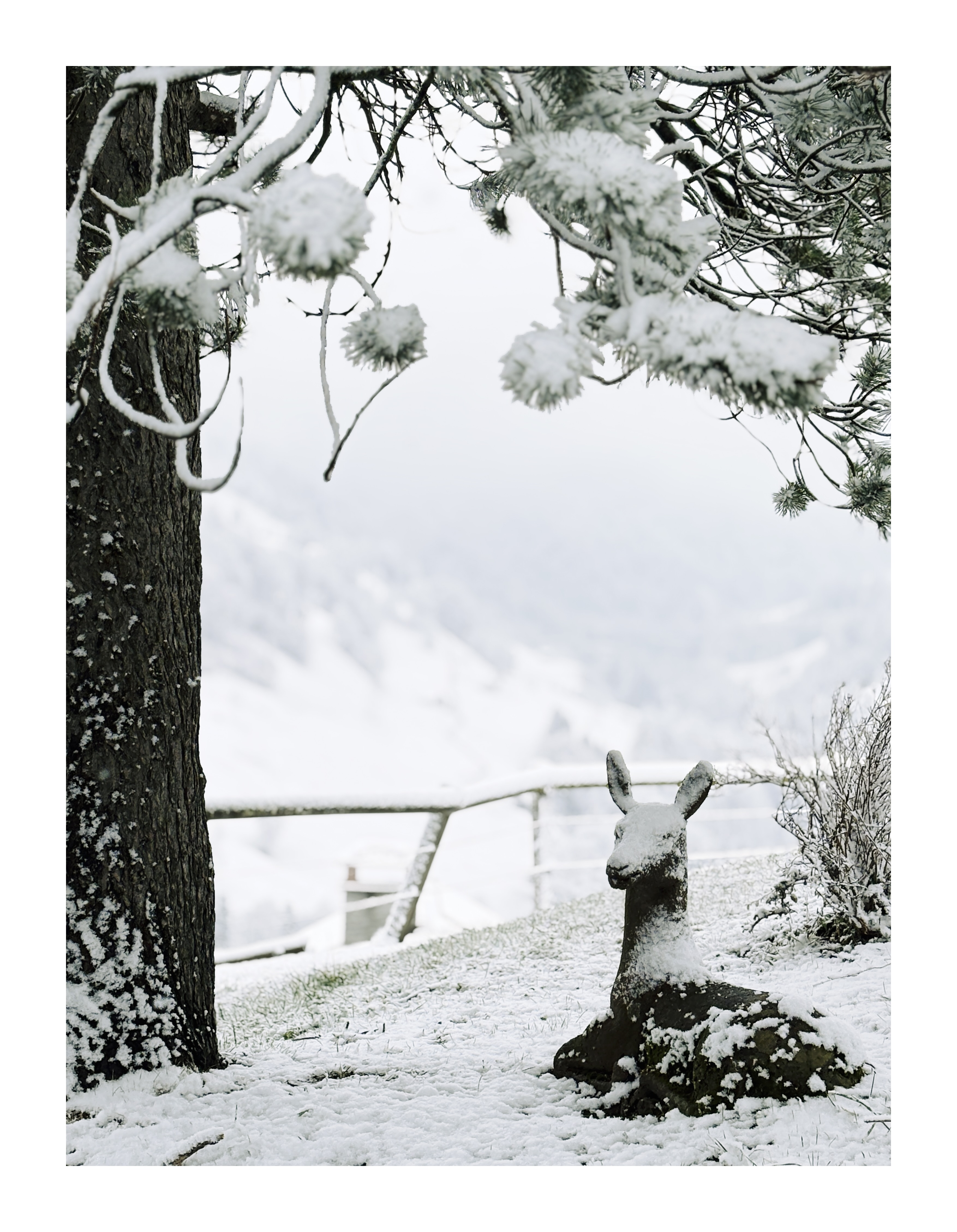 Bild ohne Beschreibung