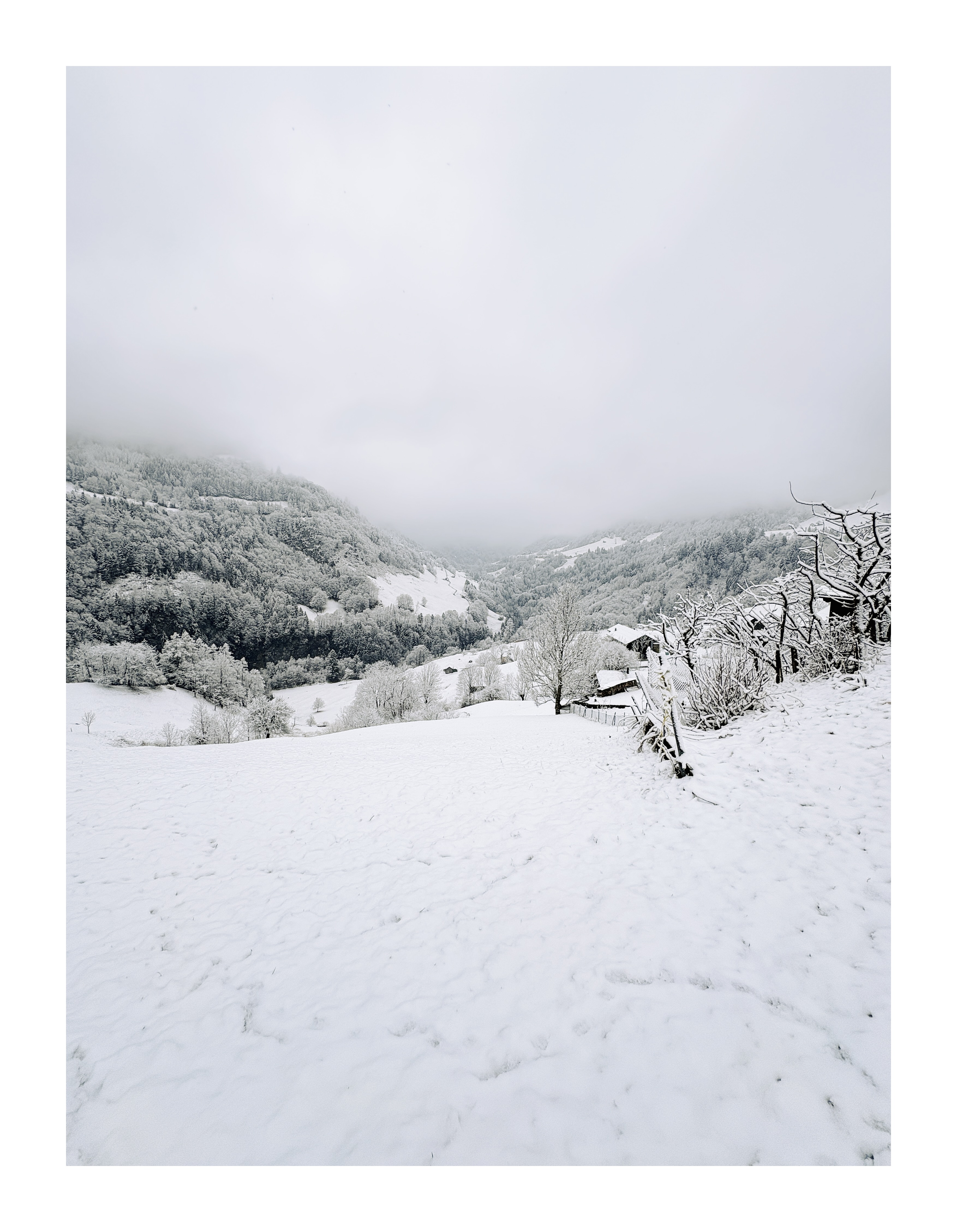 Bild ohne Beschreibung