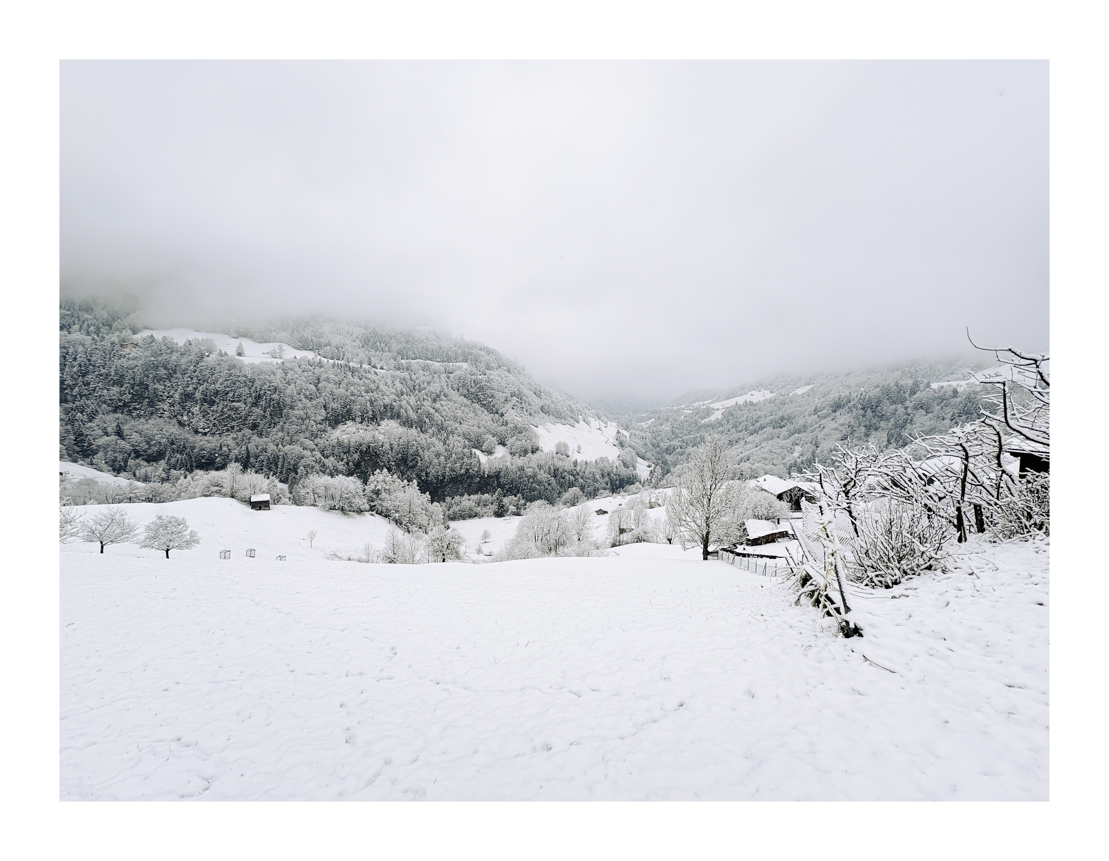 Bild ohne Beschreibung