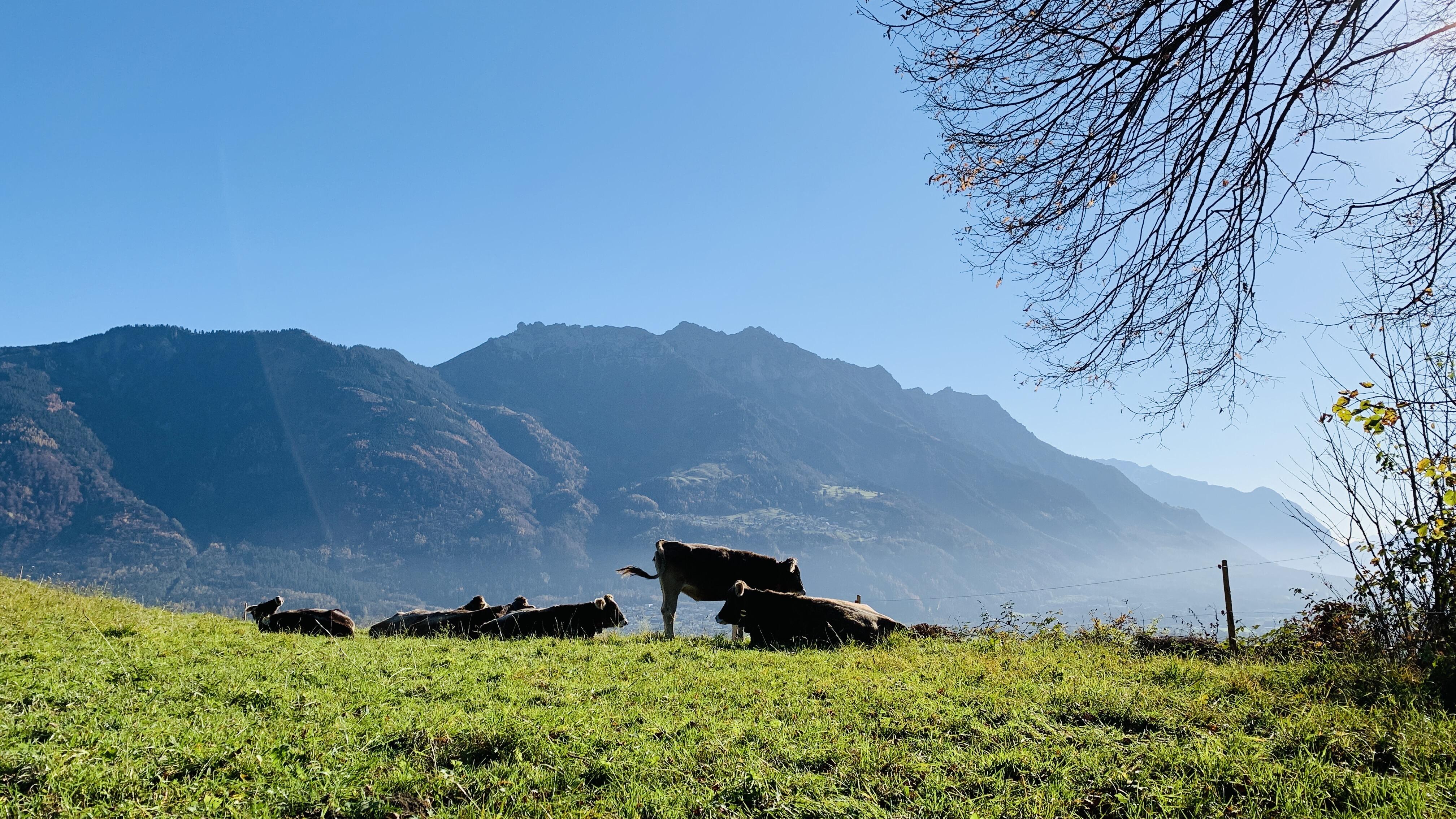 Bild ohne Beschreibung Bild ohne Beschreibung