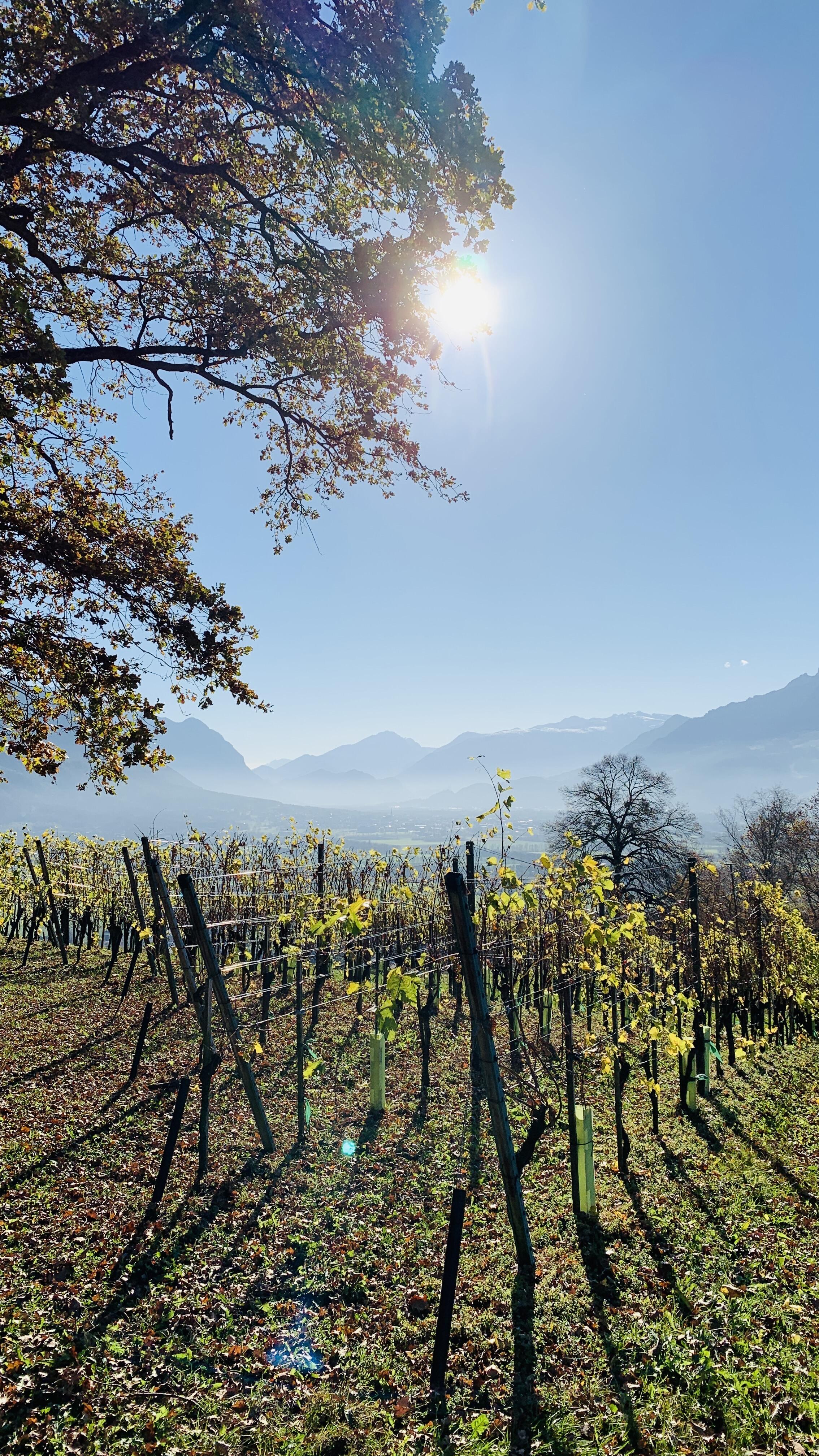 Bild ohne Beschreibung Bild ohne Beschreibung