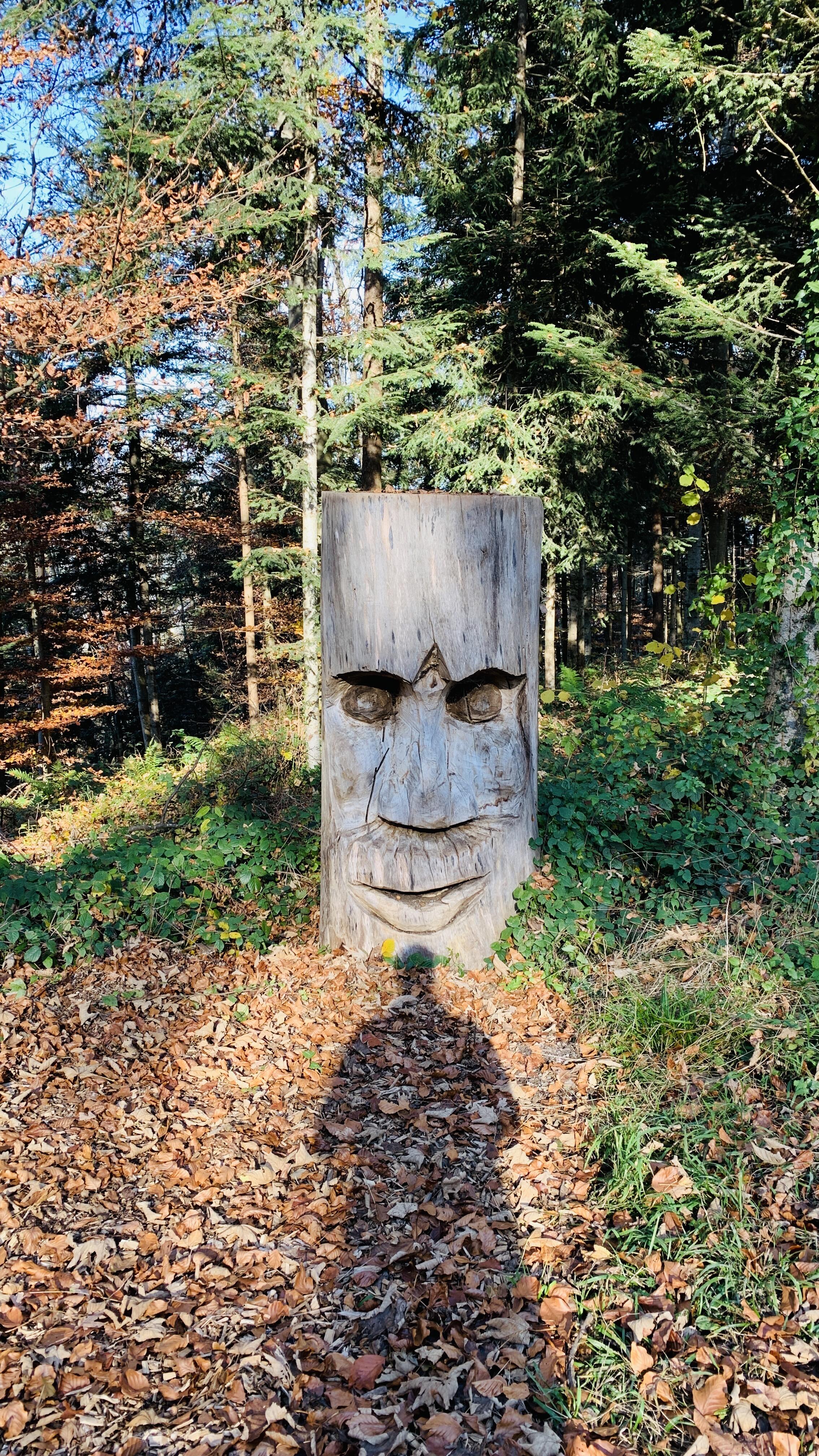 Bild ohne Beschreibung Bild ohne Beschreibung