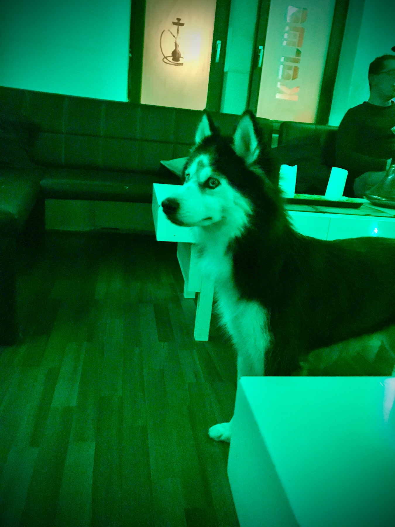 Bild ohne Beschreibung Bild ohne Beschreibung